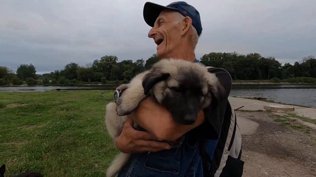 Маленькая Кавказская овчарка Симона и её счастливый хозяин смотреть онлайн