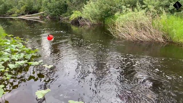 #1 Летняя рыбалка в Сибири, трофейный Хариус, тест драйв лодки ПВХ Хатанга Jet-475 на MERCURY 40.