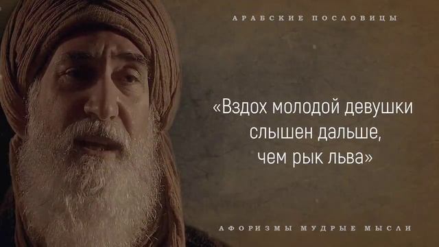 Цитаты Арабских Мудрецов смотреть онлайн