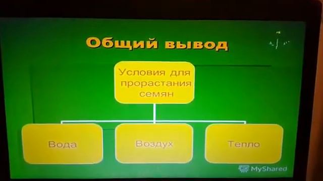 Биология 6 класс смотреть онлайн