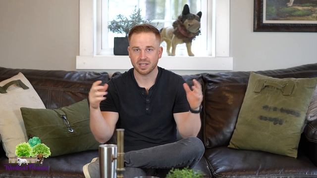 Does the Mini French Bulldog Really Exist? смотреть онлайн