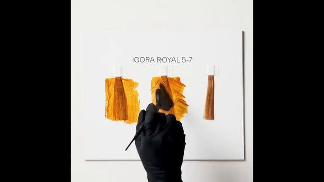 No Fade Hair Color with IGORA ROYAL смотреть онлайн