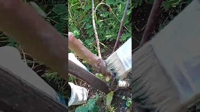 Осенняя обрезка деревьев
