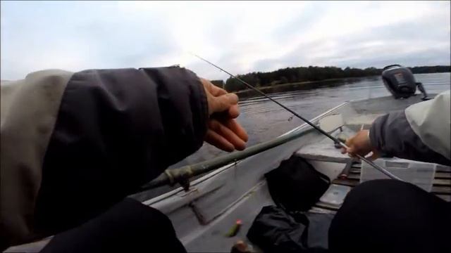 Пелагический окунь. Perch. Pelagic Jigging.