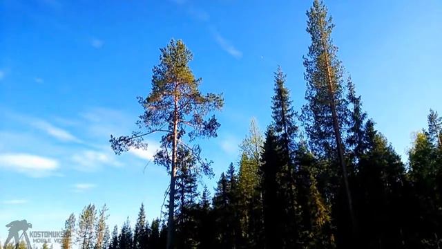 Ar.Drone 2.0 Полёт #11 | Костомукша смотреть онлайн