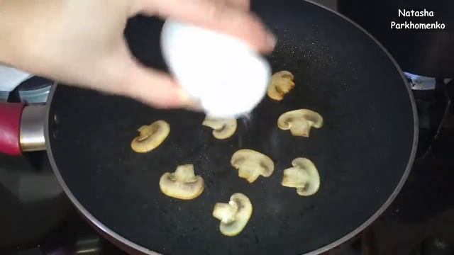 Наука о Животных и их Поведение