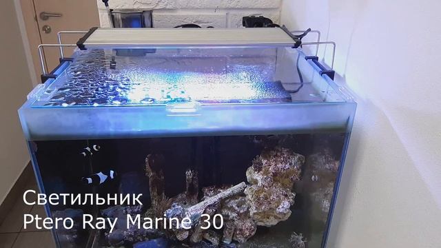 Светильник TM Ptero Ray Marin 30. Начало эксплуатации. Первые впечатления. смотреть онлайн