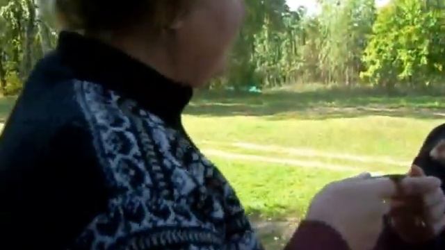 Осенний марафон по Васелеву смотреть онлайн