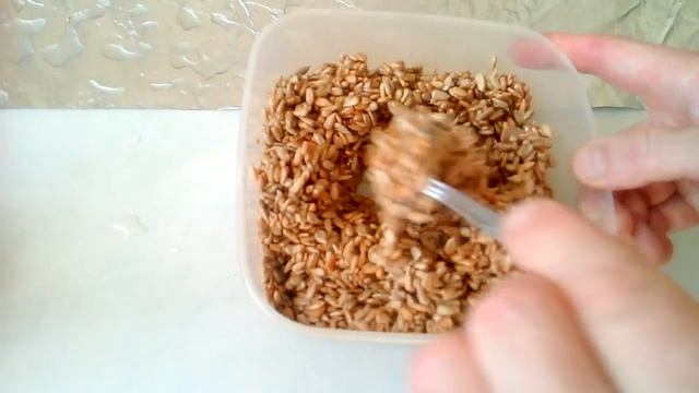 Современные Инструментальные Мелодии