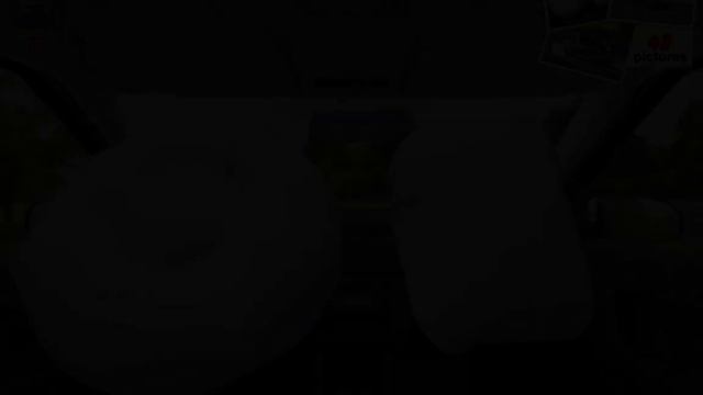 Skoda Roomster ( 2011 ) смотреть онлайн