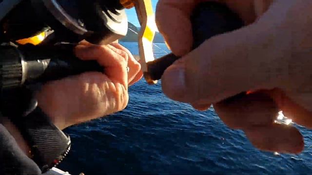 Рыбалка в Норвегии с лодки! Ловим МОЛЬВУ одну за одной! Норвегия. Рыбалка. Мольва. смотреть онлайн