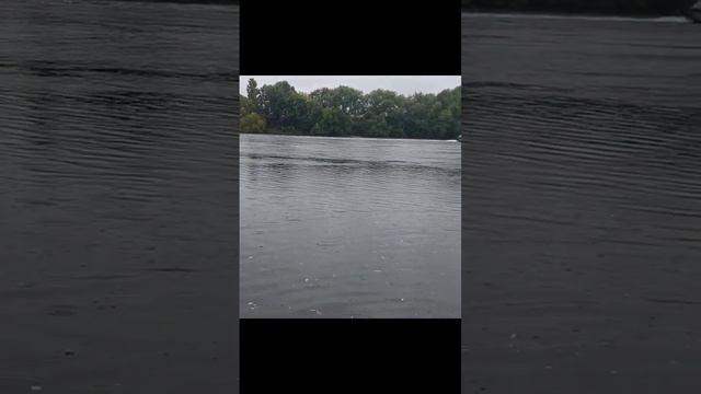 Осенняя красавица Москва река. смотреть онлайн