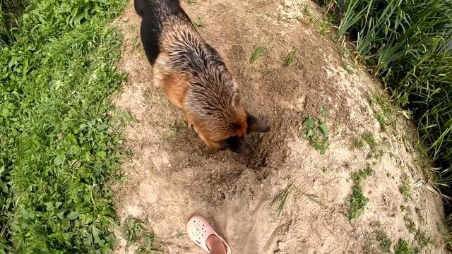 Рыбачка ДЕНЬ НА РЕКЕ. Дикие места. Фидер. #388 смотреть онлайн