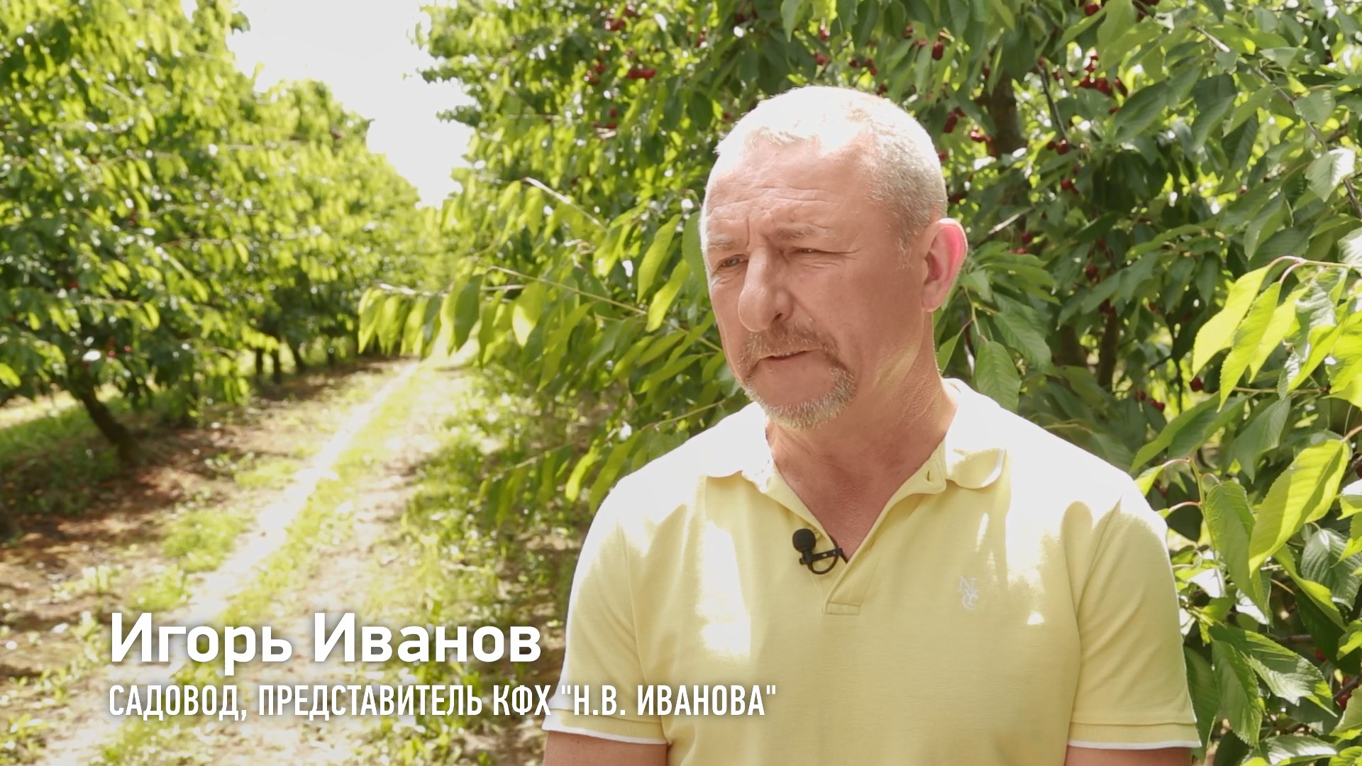 ИП Иванова Наталья Владимировна - черешневый сад смотреть онлайн