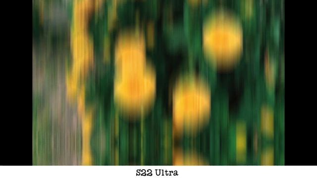 OPPO Reno 9 Pro Plus Vs Samsung Galaxy S22 Ultra Camera Test смотреть онлайн