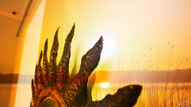 Чёрное солнце Сибири | WWMAM