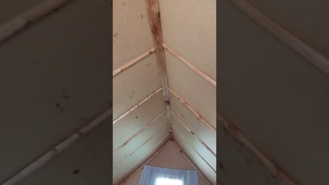 дача6 смотреть онлайн