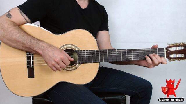 Guitare Classique Adulte : Paloma C966N смотреть онлайн