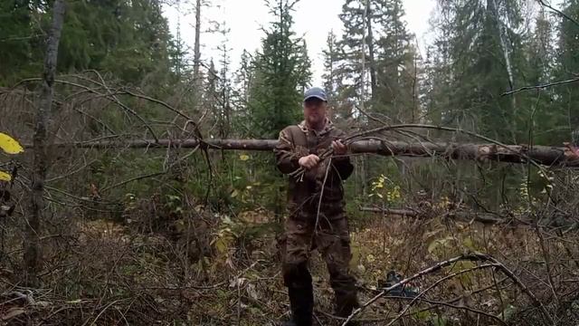 Наше достояние! Валежник! смотреть онлайн
