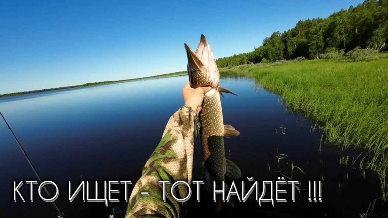 ВОТ ЭТО РЫБАЛКА ! КАЙФ !!! #рыбалка #щука #спиннинг #fishing #pike #pikefishing #perch