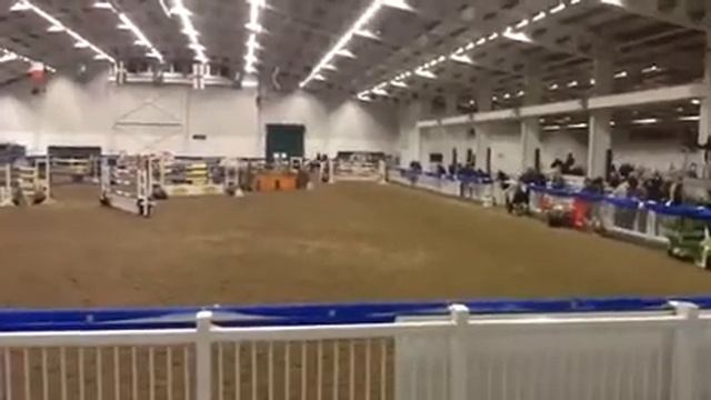 Jessica Mendoza Ramiro De Belle Vue 1.45 Grand Prix Jump off смотреть онлайн