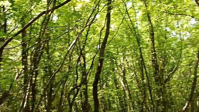 Ольгинка Поход на мыс Грязнова смотреть онлайн