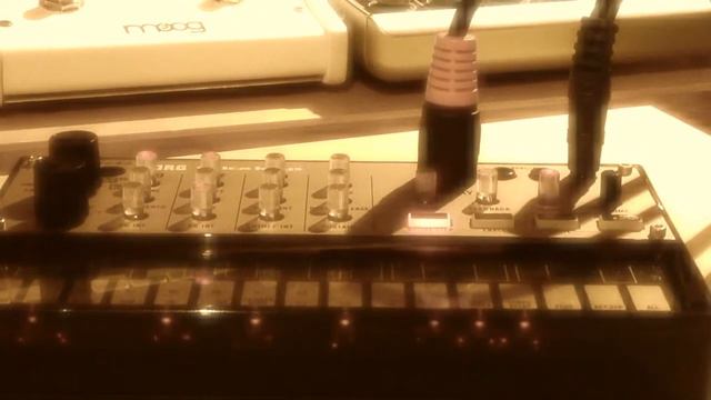 Rizhoon Incerta Experiment 3 (Korg Volca Keys, Moog Slim Phatty, Waldorf Blofeld) смотреть онлайн