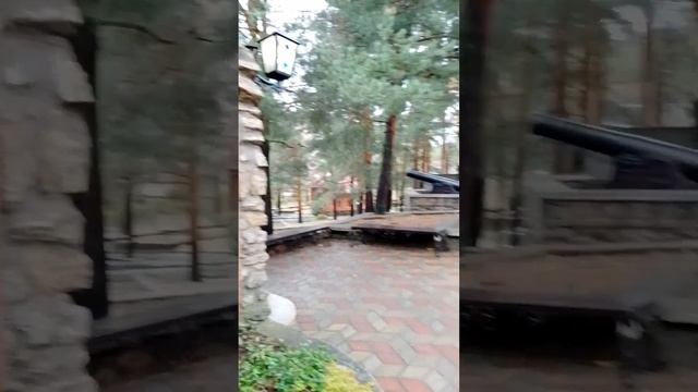 Ну, здравствуй, Ноябрь!#сосновыйбор