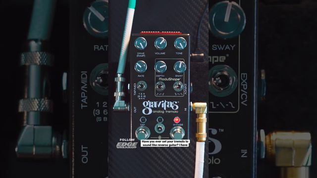 Have you ever set your tremolo to sound like reverse guitar? I have // #guitarpedals #chasebliss смотреть онлайн