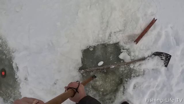 ЭТА ЯМА ПОЛНАЯ РЫБЫ!!! ПОСТАВИЛ ХАПУГИ И НАЛОВИЛ ОГРОМНЫХ КАРАСЕЙ. ЭТО МЕСТО РАДУЕТ В ОЧЕРЕДНОЙ РАЗ смотреть онлайн