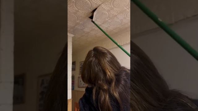 ку-ку, я тут смотреть онлайн