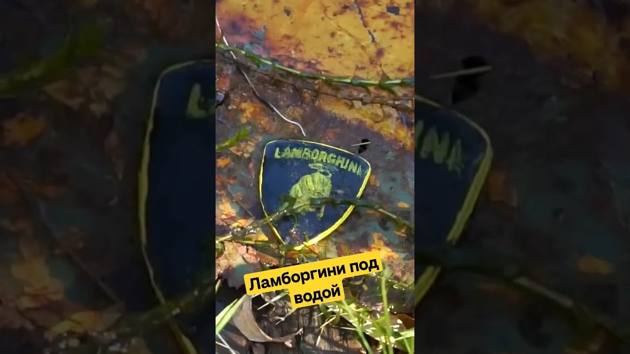 Нашел Ламбу во время магнитной рыбалки! #ламборгини #магнитнаярыбалка смотреть онлайн