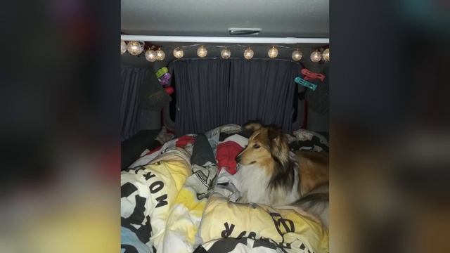 Minicamper der Luxusklasse - Genialer Ausbau VW Caddy Camper смотреть онлайн