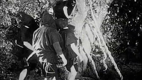 Tarzan And The Green Goddess - Full Movie | Bruce Bennett, Ula Holt, Frank Baker, Ashton Dearholt