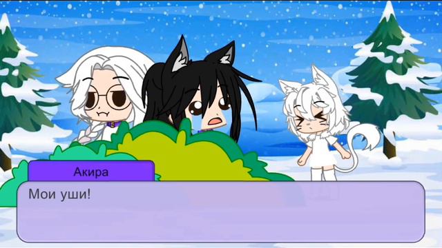 Попали в мир Котов Воителей (Не Канон)