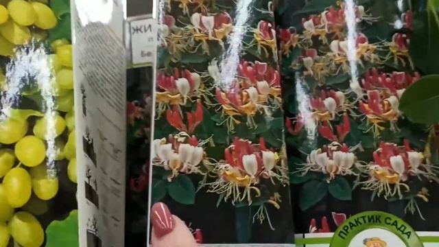 САЖЕНЦЫ ЦВЕТОВ/ДЕКОРАТИВНО ЛИСТВЕННЫЕ И ПЛОДОВЫЕ ЯГОДНЫЕ КУСТАРНИКИ В Леруа Мерлен 1 часть/ 22г#282