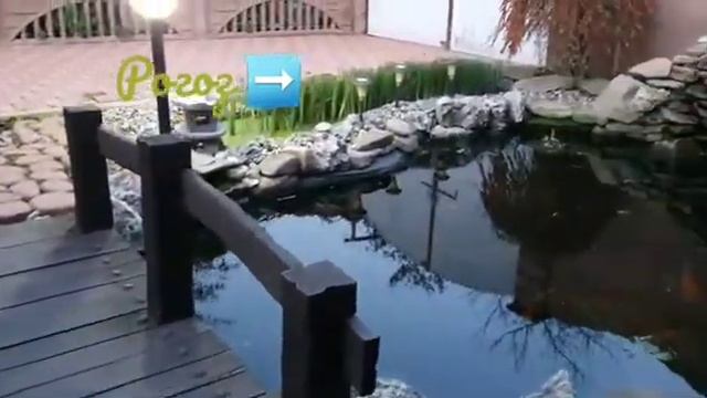 Как зимимуют карпы кои. Подготовка пруда к зимнему сезону. Обрезка водных растений. смотреть онлайн
