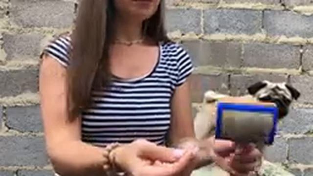 Уход за шерстью ?? Фурминатор для собак ?? Чем вычёсывать шерсть у собак? ??Расчёски для собак ❌✅ смотреть онлайн