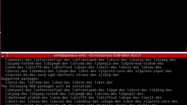 Circos - circular chord diagram software installation - ubuntu смотреть онлайн