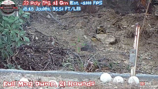 Squirrel Got FULL-AUTO | .22 Cal Hatsan Blitz by Repsol13 смотреть онлайн