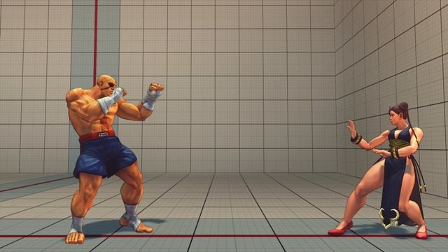 Super Street Fighter IV - SAGAT Ultra Combos смотреть онлайн