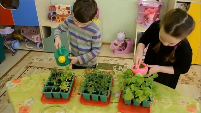 Социальный ролик Загрязнение воздуха в Росиии смотреть онлайн