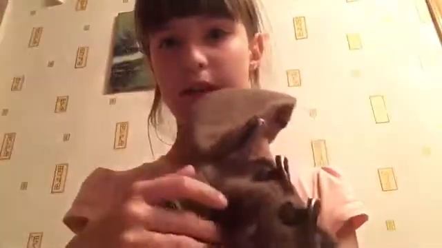 Одежда моего Басика ? смотреть онлайн