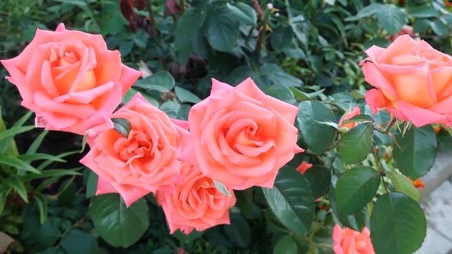 Модные DIY проекты для дома