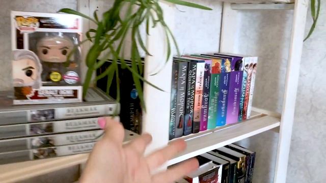 ? НОВЫЕ КНИЖНЫЕ ПОЛКИ смотреть онлайн
