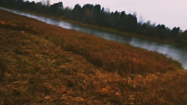 Охота на утку осенью. Строю шалаш- засидку на мегаохоту на утку. смотреть онлайн