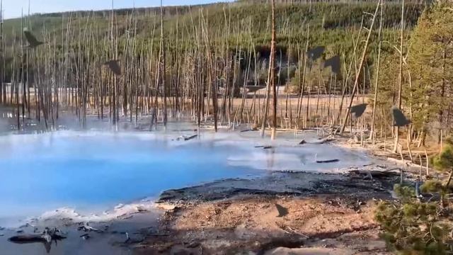 Yellowstone National Park || Top 10 Best Things To Do In Yellowstone National Park