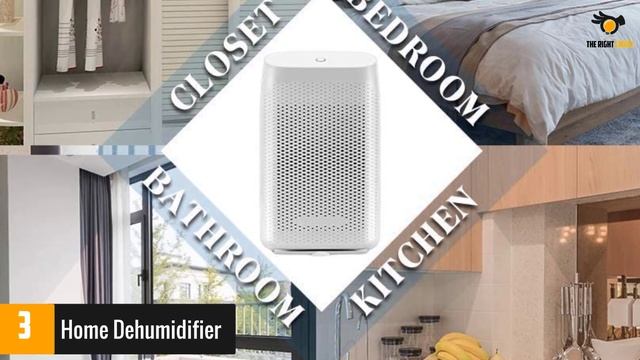 The 5 Best Dehumidifiers In 2021 смотреть онлайн
