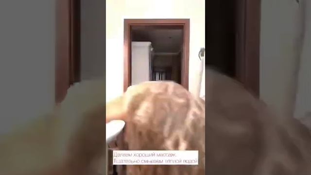 Моем голову твёрдым шампунем Sharme