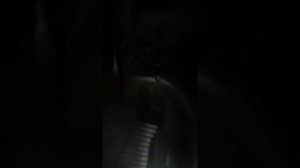 Форд фокус 3 не работает кнопка открывания багажника